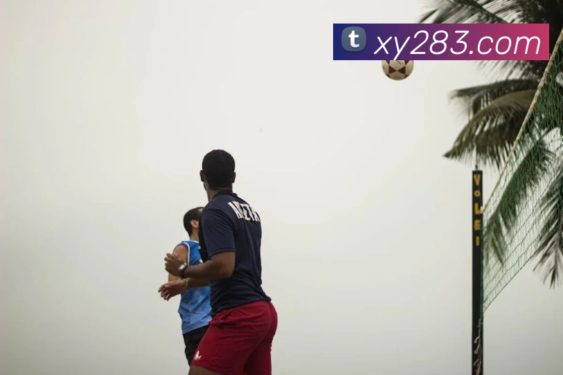 对战数据统计